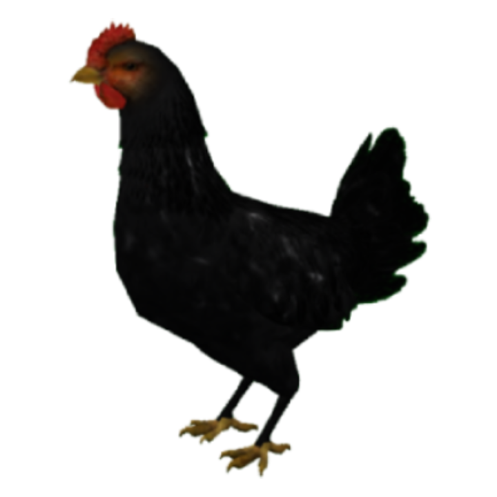 EbonyEclipse chicken skin