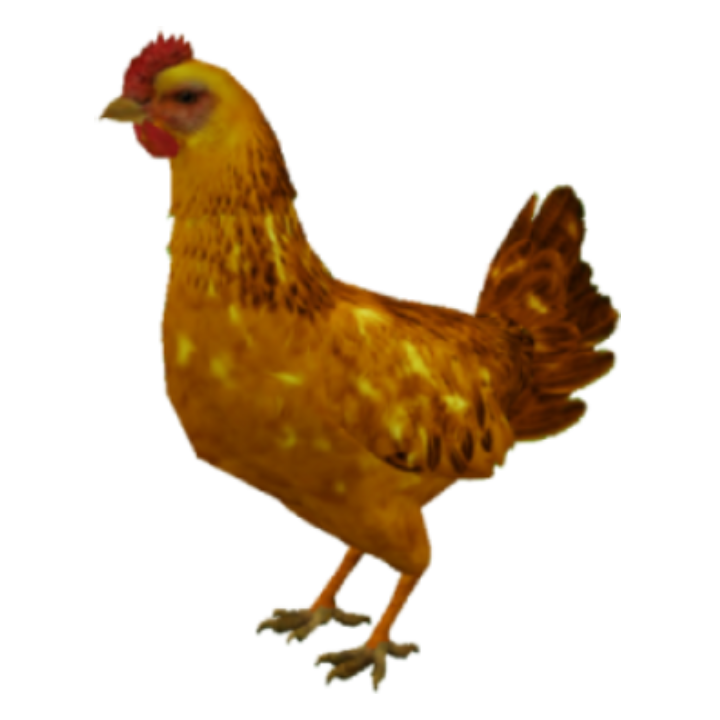 Gold chicken skin