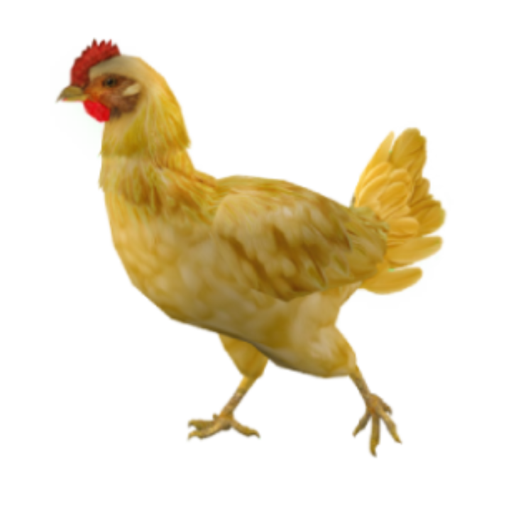 LightYellow25 chicken skin