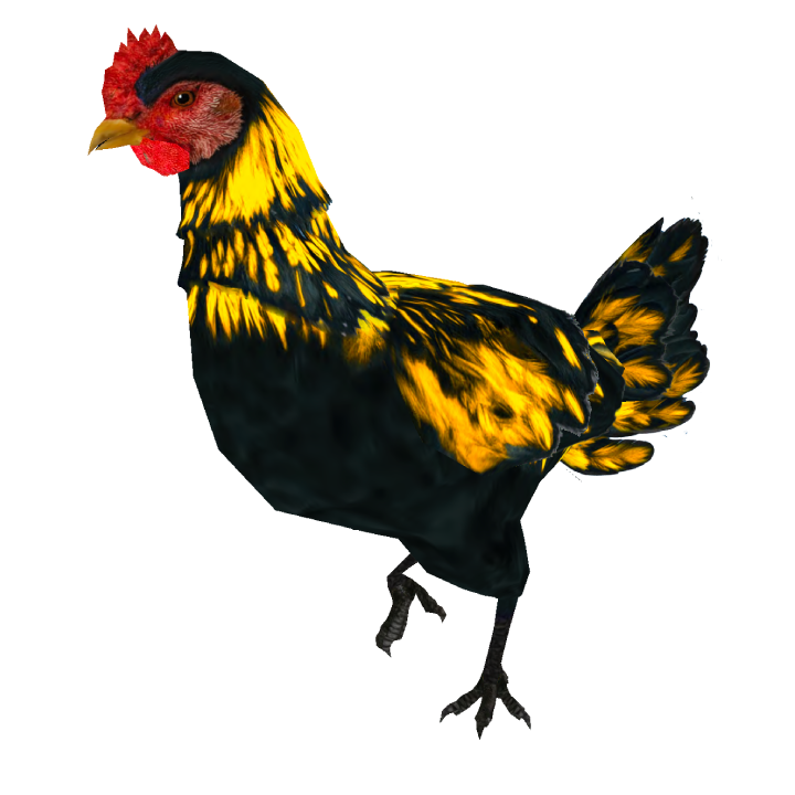 MysticYellow25R chicken skin