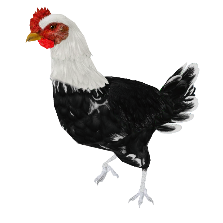 ObsidianCrown25R chicken skin