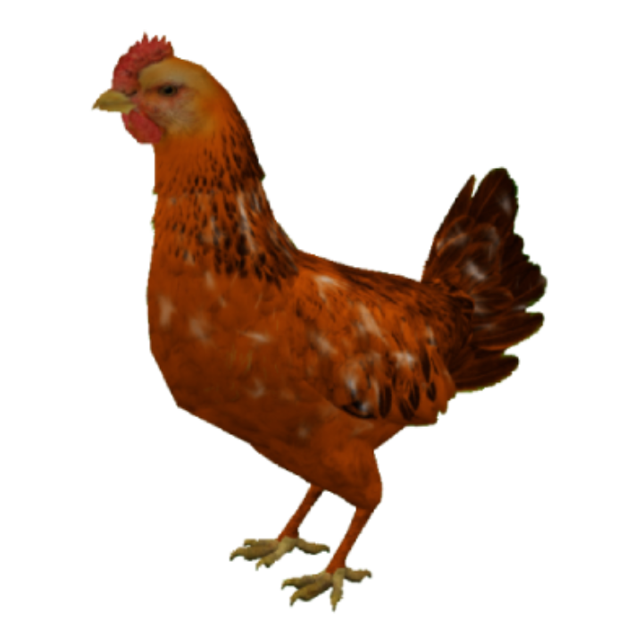 Red chicken skin