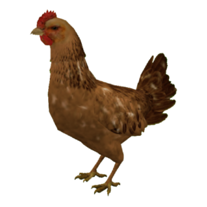 SoftBrown chicken skin